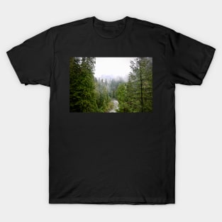 Coastal BC Woods. T-Shirt